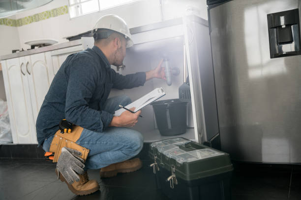 Best Plumbing Inspection Services  in Tracy, MN